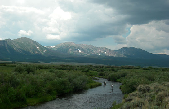 Let Pat Stefanek show you North Park & Elk River fishing like you’ve never experienced before