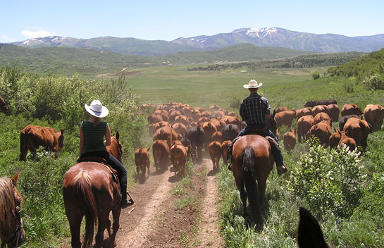 Unique Colorado Real Estate Opportunity – Learn New Skills on the Ranch from Marabou's Master Guides