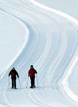 Snowshoeing Trails on Private Colorado Mountain Property - Snow Shoe Adventures at Marabou